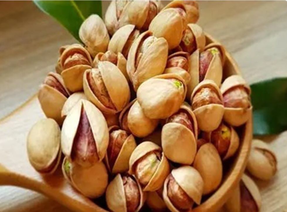 فروش  پسته کله قوچی + بهترین قیمت