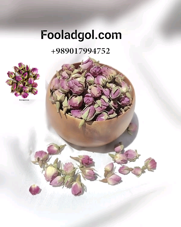خرید عمده غنچه گل محمدی صادراتی با شرکت فولاد گل