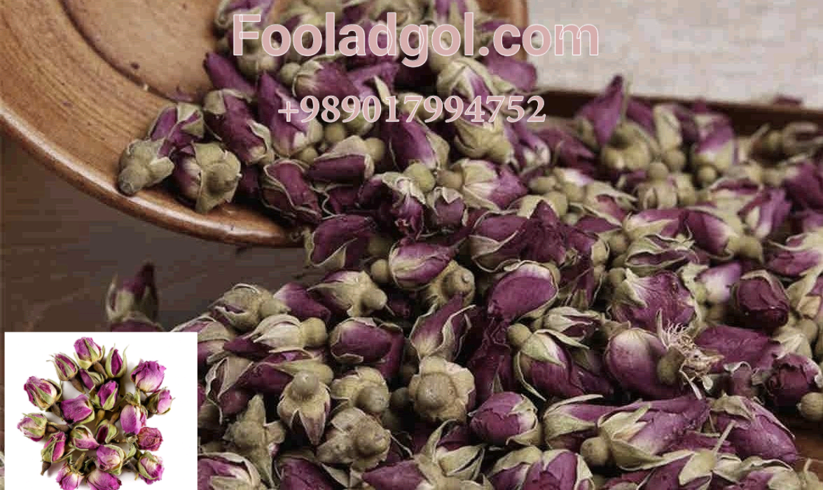 خرید عمده غنچه گل محمدی صادراتی همراه با قیمت با شرکت فولاد گل