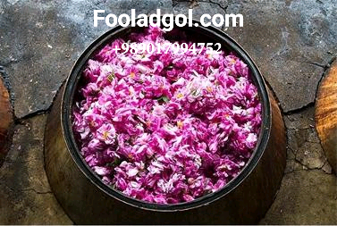 خرید عمده گلاب داراب به صورت فله با شرکت فولاد گل
