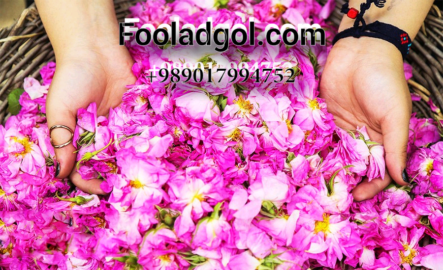 خرید عمده گلاب کاشان به صورت فله با شرکت فولاد گل