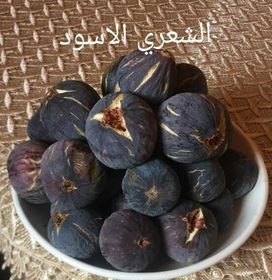 خرید و فروش انجیر سیاه + شرایط فوق العاده