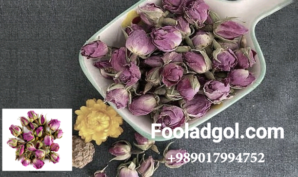 خرید عمده غنچه گل محمدی با شرایط ویژه با شرکت فولاد گل