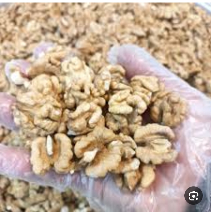 خرید طلای سبز گردوی تویسرکان + فروش عمده از باغدار