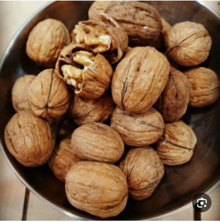 خریده گردو تویسرکان با مغز پر انرژی + فروش عمده و صادراتی