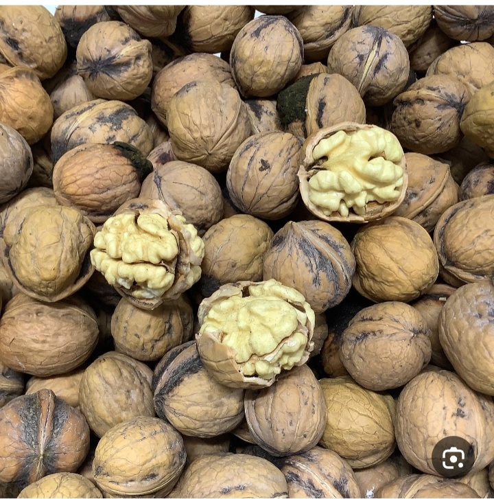 خرید گردوی تویسرکان راز سلامتی در هر دانه + فروش عمده استثنایی