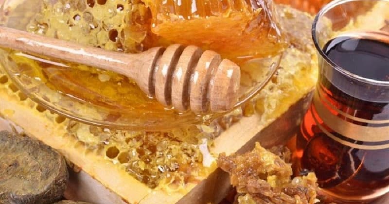 خرید عمده اینترنتی عسل کندو هانیوا + قیمت مناسب