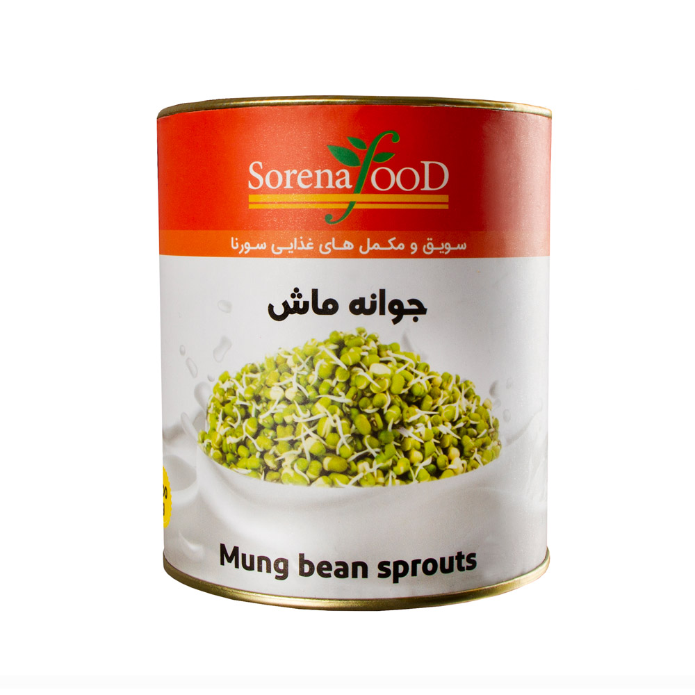 شرایط خرید بصرفه کنسرو جوانه ماش 420گرمی+قیمت اقتصادی وارزان