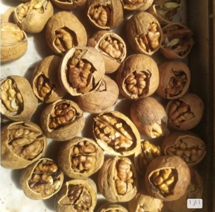 خریده گردوی کاغذی اذرشهر برای مصرف روزانه + فروش عمده با سوده طرفین
