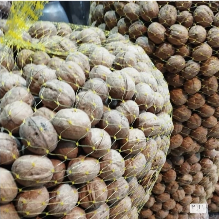 فروش گردوی کاغذی شبستر از باغ تا بازار + خرید عمده