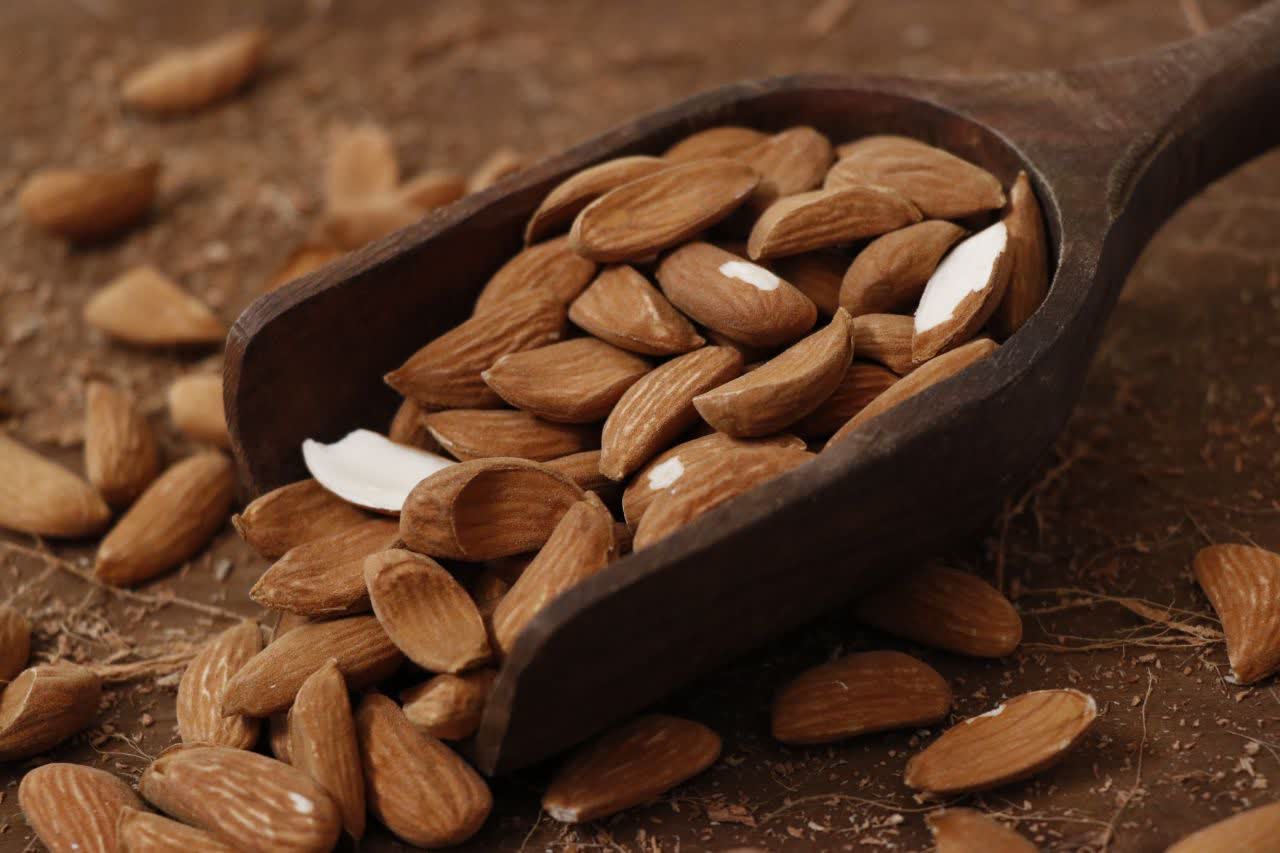 خرید تضمینی بادام مامایی a5