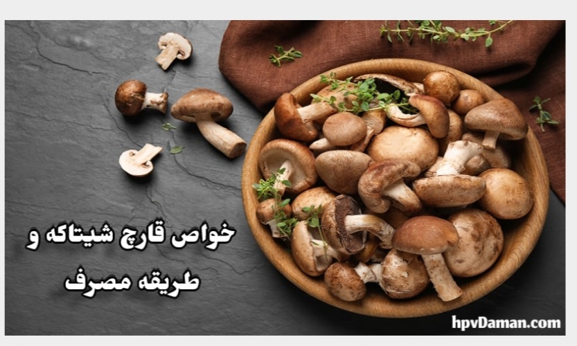 فروش عمده قارچ شیتاکه