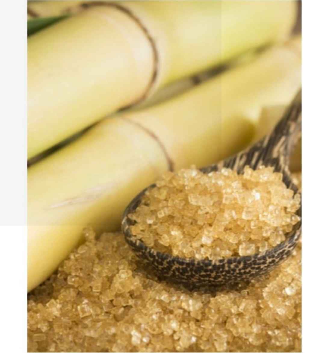 توزیع شکر قهوه ای رضوان در اصفهان قیمت