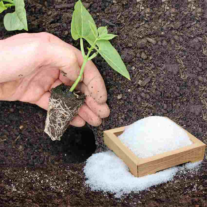 سفارش هیدروژل گلخانه‌ای؛ کمک به ریشه و جوانه‌ زنی سریع‌ تر