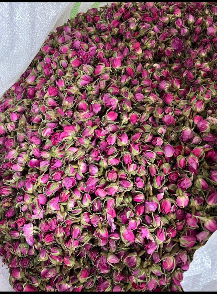 لیست قیمت غنچه گل محمدی + خرید اینترنتی