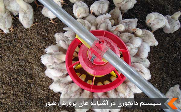 دانخوری بشقابی جوجه + قیمت خرید عمده مناسب
