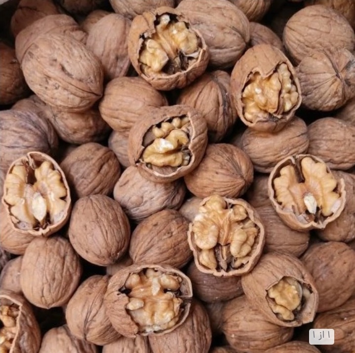 خریده عمده از باغدار گردوی اذر شهر گردوی درختی اذر شهر