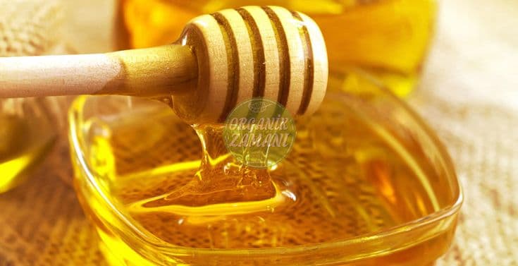 فروش اینترنتی عسل پرورشی هانیوا + تضمین قیمت