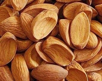 قیمت بادام‌ مامایی درجه یک + پخش عمده
