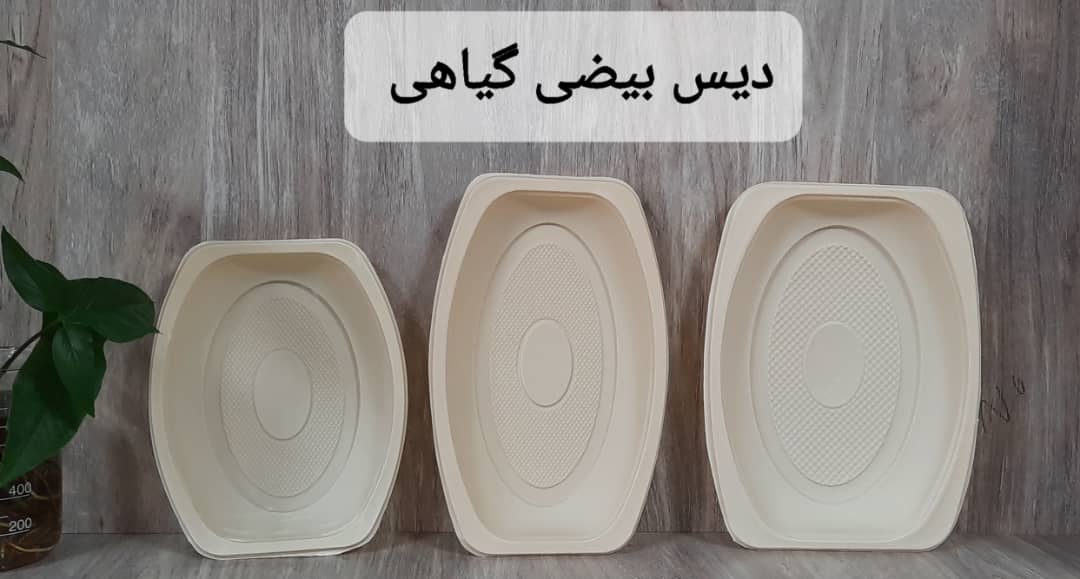 دیس یکبار مصرف بیضی گیاهی