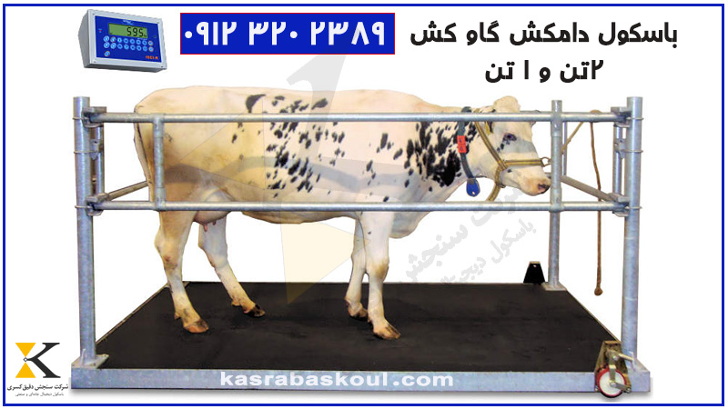 باسکول دامکش ۲۲۰۰ کیلویی ضد ضربه