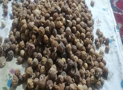 قیمت انجیر خشک ضایعاتی + قیمت خرید به صرفه