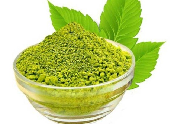 فروش عمده سدر ایرانی + برگ کنار تازه برای عطاری و صنایع بهداشتی