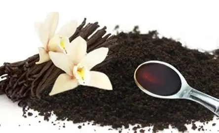 فروش عمده وانیل طبیعی + طعم‌ دهنده لوکس صادراتی