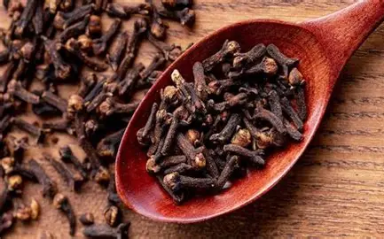 فروش عمده میخک + ادویه معطر و دارویی صادراتی