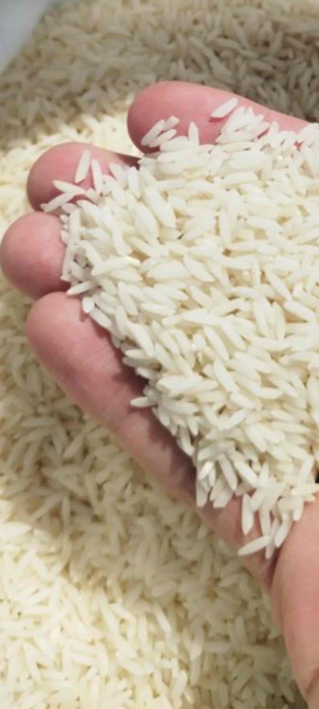 قیمت خرید برنج علی کاظمی درجه یک گیلان