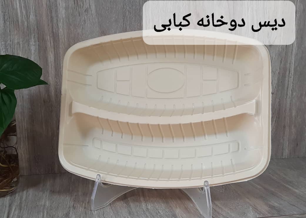 دیس یکبار مصرف دو خانه گیاهی مخصوص کباب + خرید