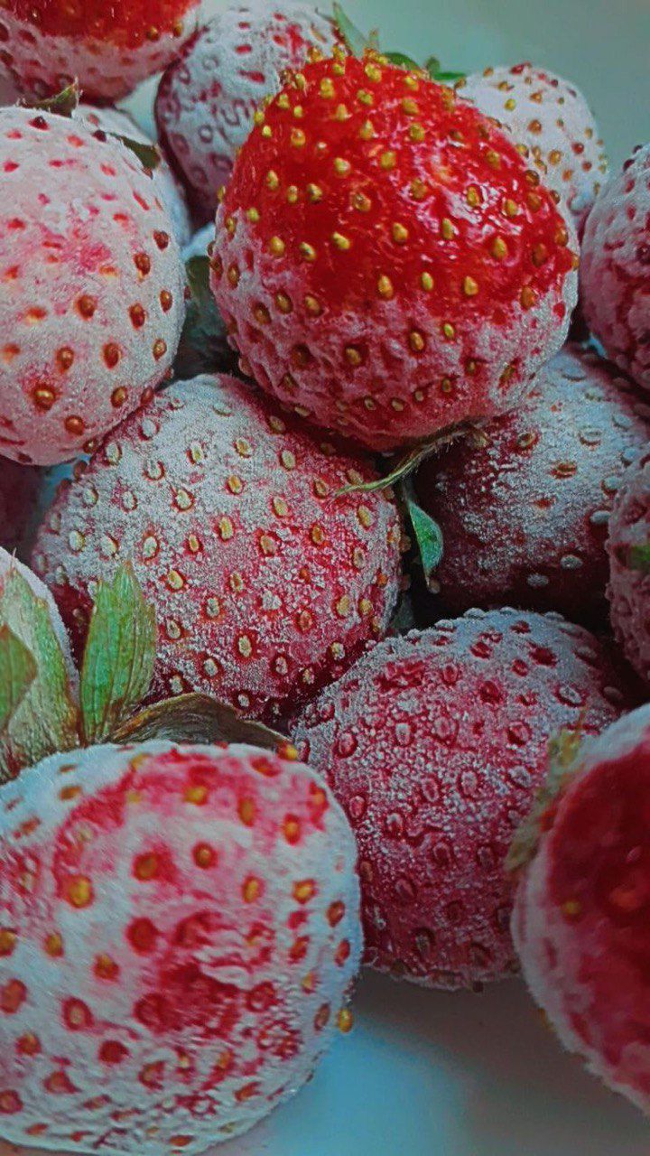 فروش عمده توت فرنگی درجه یک