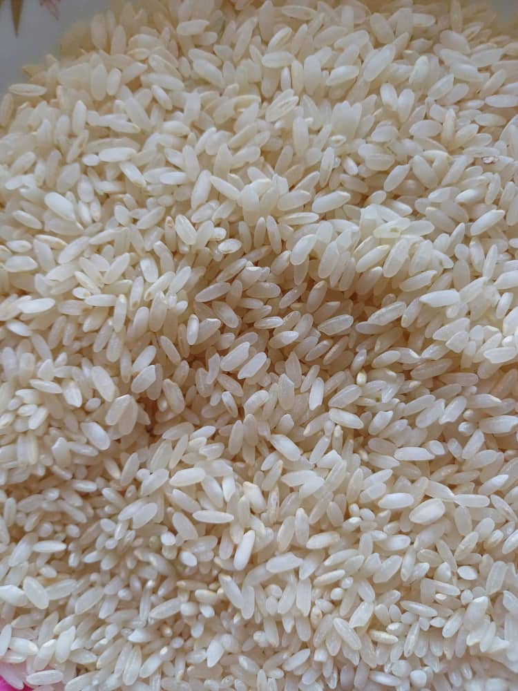 خرید برنج کامفیروزی معطر