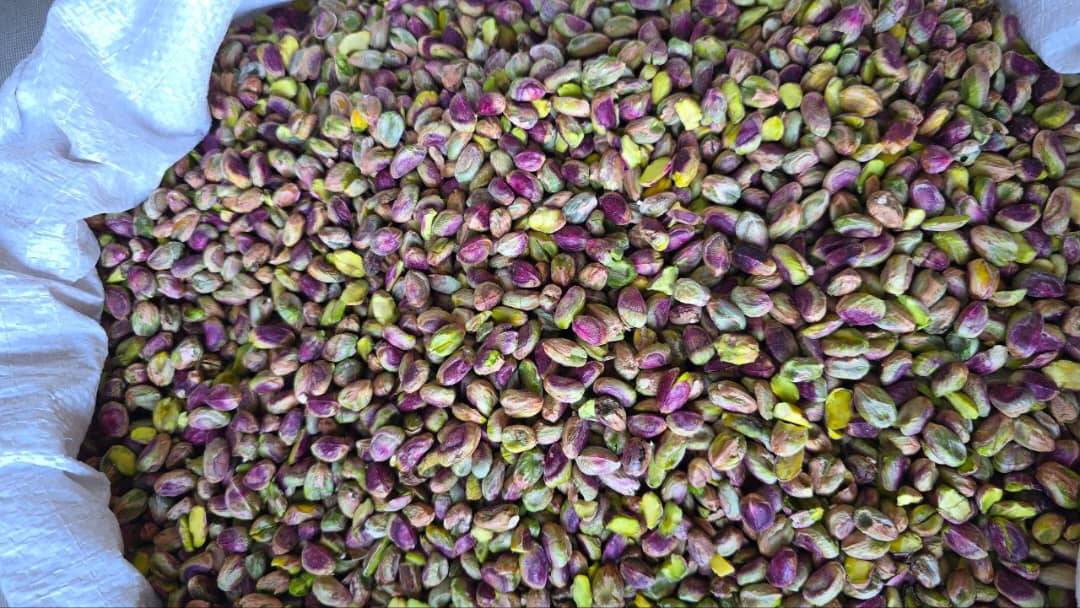 فروش مغز پسته + قیمت مناسب