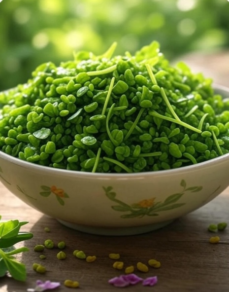 فروش ویژه شنبلیله خشک + قیمت خرید عمده