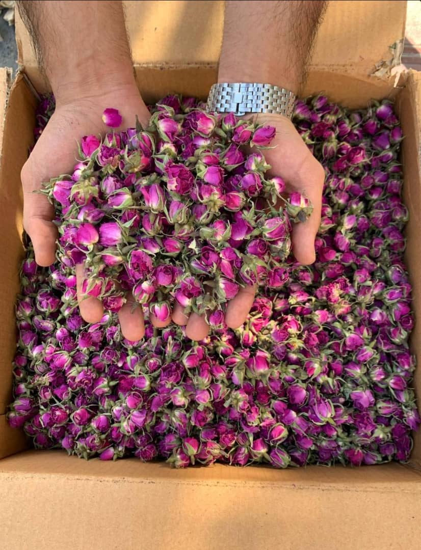 قیمت عمده غنچه گل محمدی خشک + خرید اینترنتی