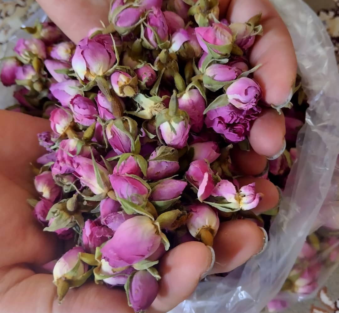 قیمت عمده غنچه گل محمدی خشک + با کیفیت عالی