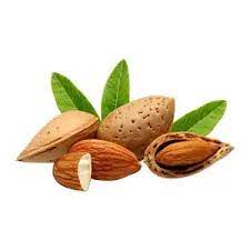 فروش ویژه بادام سنگی شهرکرد + با پوست سخت و ماندگاری بالا