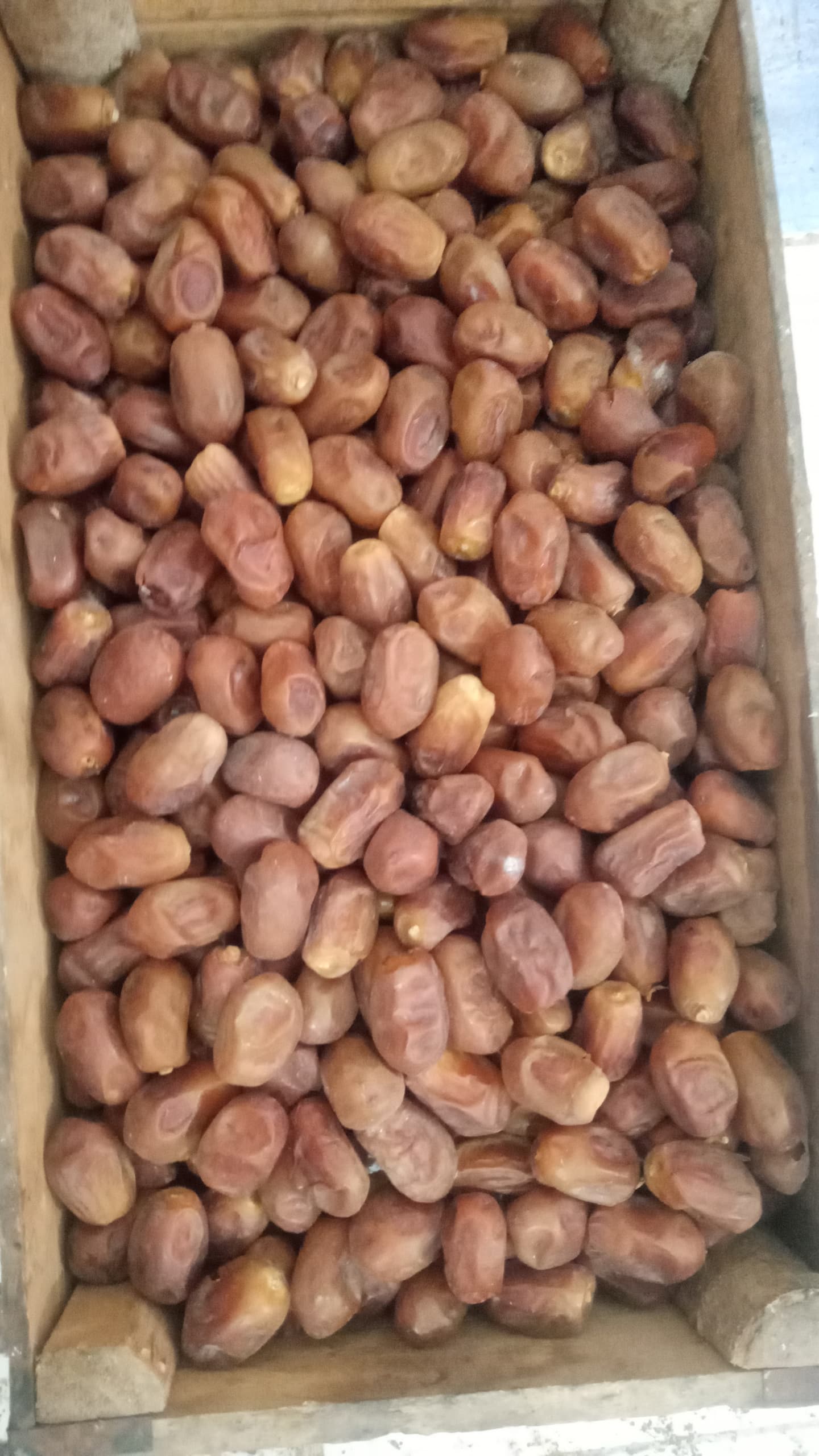 خرما خشک زاهدی + قیمت خرید عالی