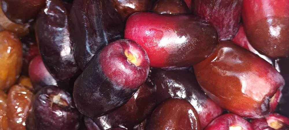 قیمت رطب مضافتی عمده + فروش ویژه
