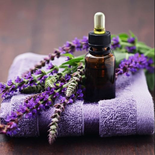 فروش عمده اسطوخودوس + گیاه دارویی و معطر با کیفیت صادراتی