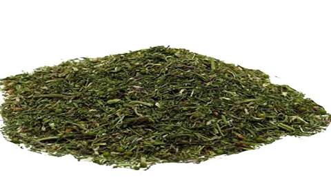 قیمت خرید گیاه دارویی شاتره