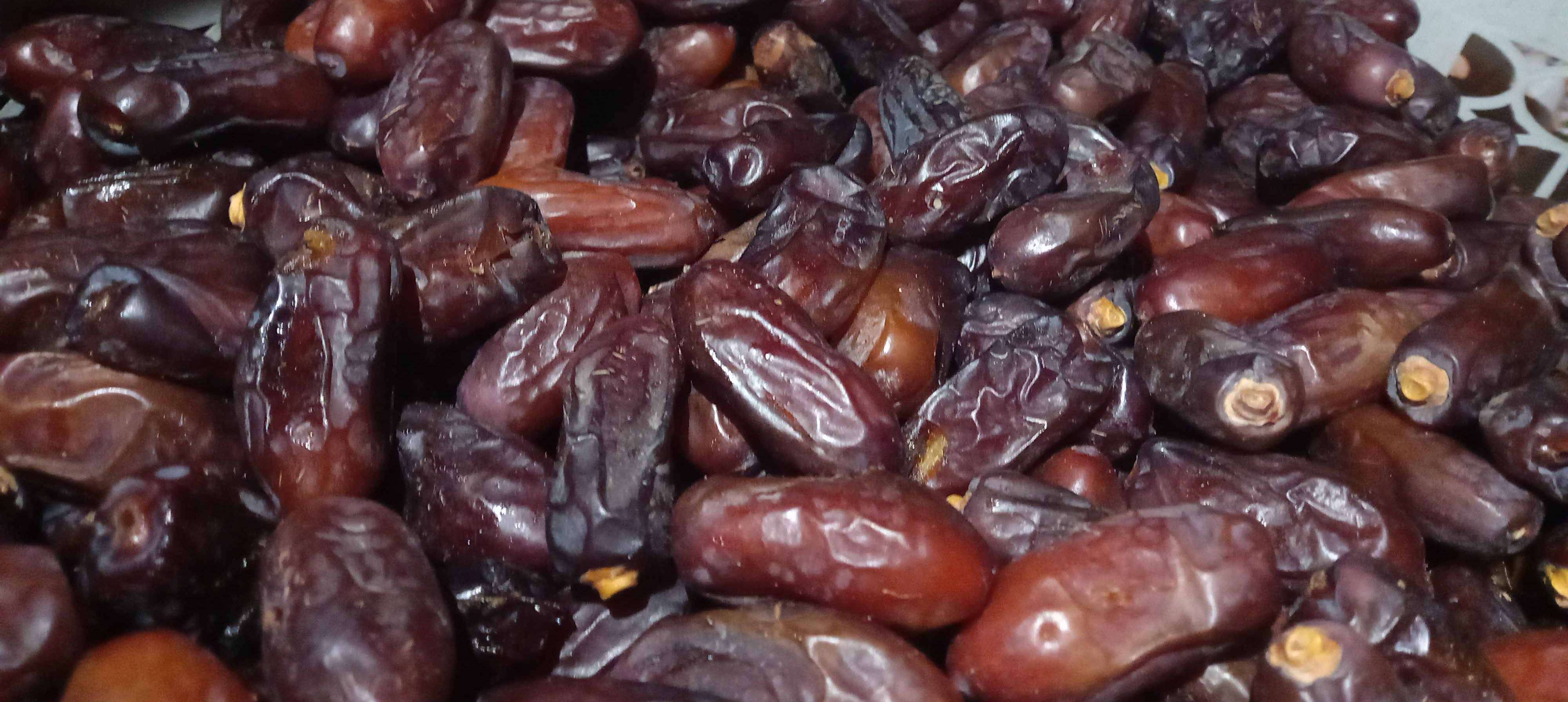 فروش خرما ربی بلوچستان + قیمت مناسب و ارزان