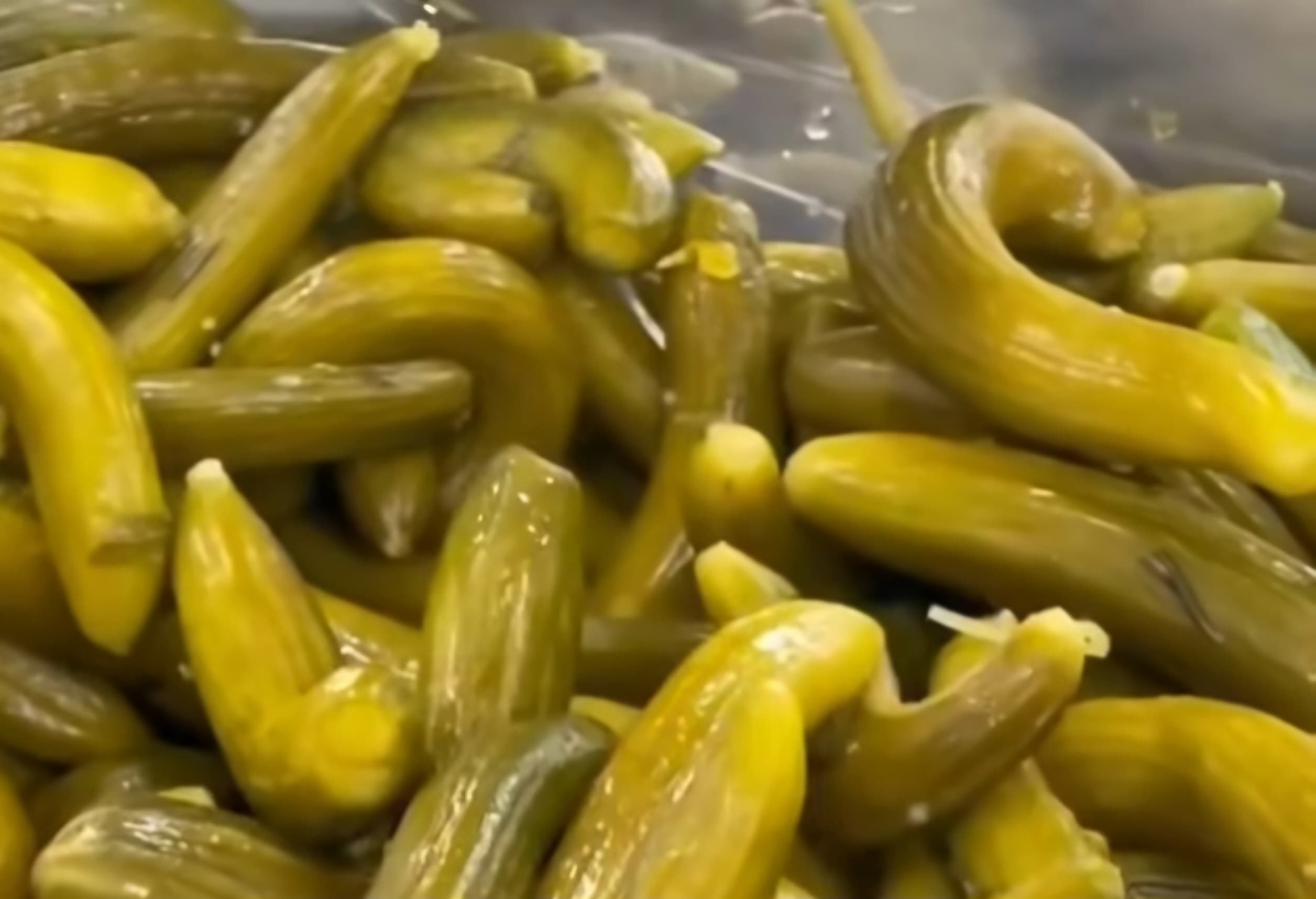 فروش اینترنتی خیارشور درجه یک رستورانی + تضمین قیمت