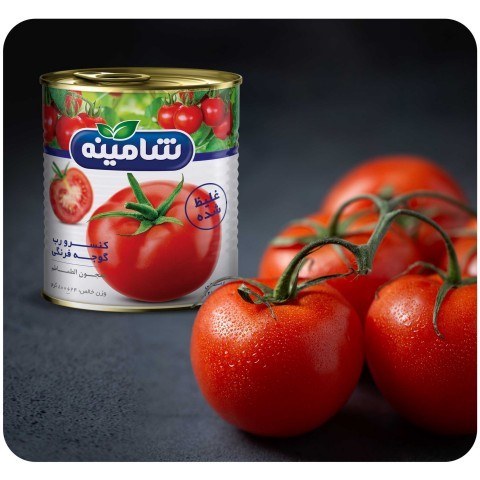 رب گوجه فرنگی درجه یک + خرید با بهترین قیمت از تجارتخانه آراد