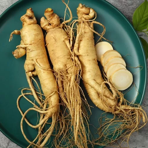 خرید عصاره خوراکی جنسینگ + قیمت استثنایی