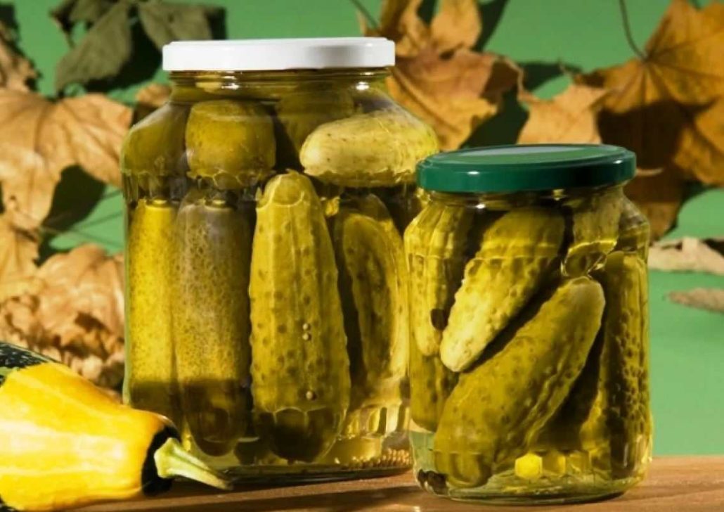 فروش اینترنتی خیارشور سوپر ویژه ارزشمند + تضمین قیمت