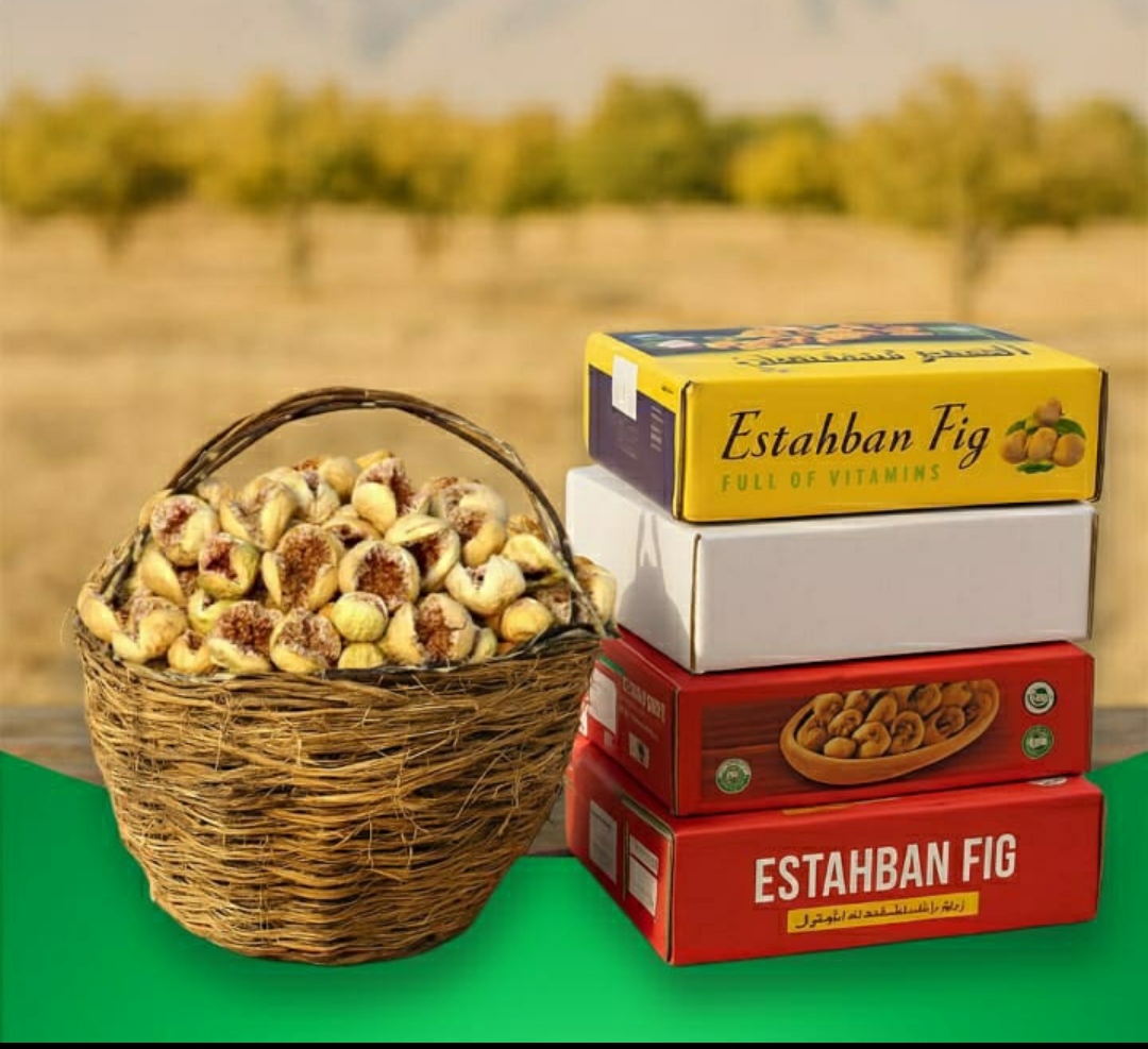 فروش عمده انجیر استهبان ویژه بازار داخل و خارج