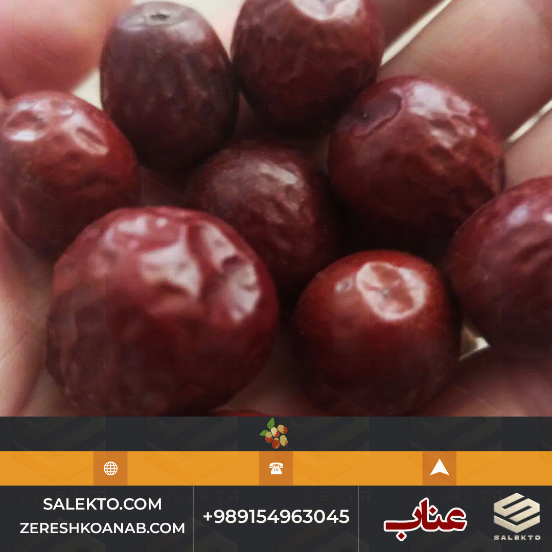 فروش عناب خشک قاینات با طعم بی‌ نظیر + قیمت ویژه و خرید مستقیم از کشاورز