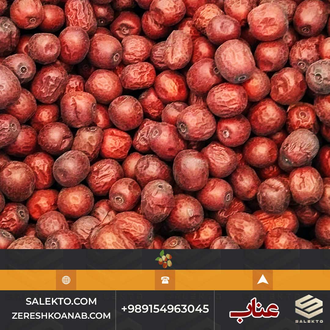 خرید عناب بیرجند ارگانیک + قیمت مقرون‌ به‌ صرفه و صادرات به بازار جهانی